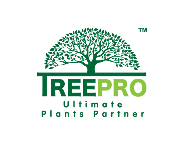 TreePro榴莲管理专家
